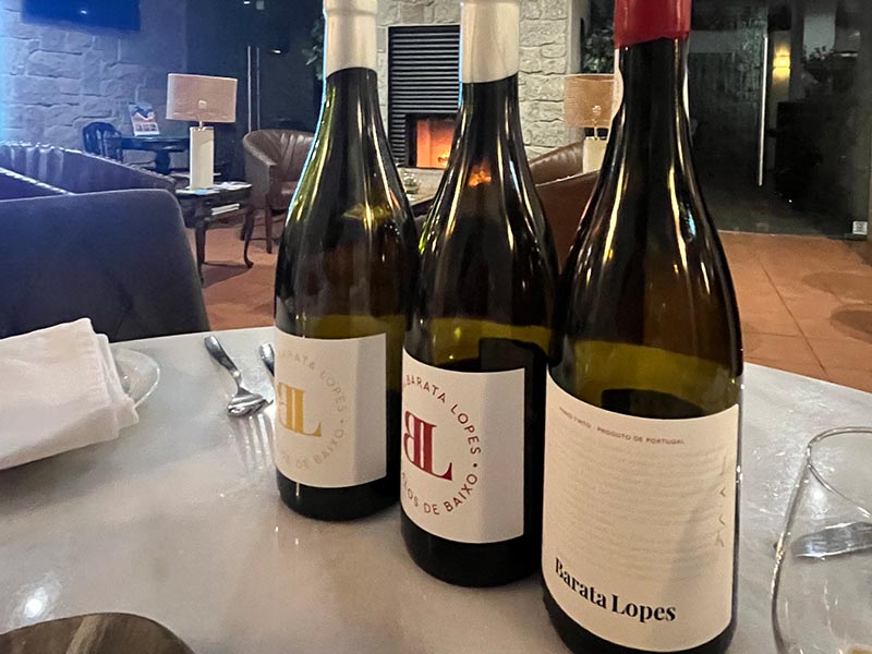 Homemade Wine Tasting